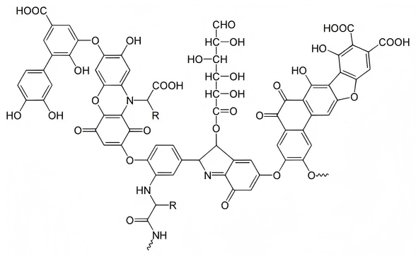 HUMIC ACID