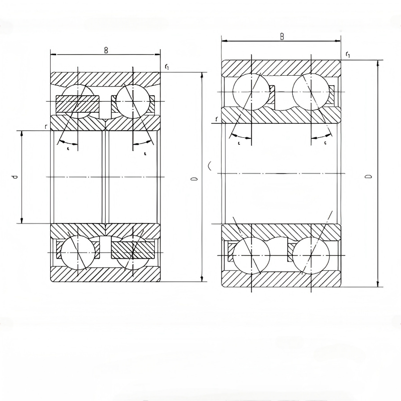 diagram_of_dsbr_ball_bearings.png
