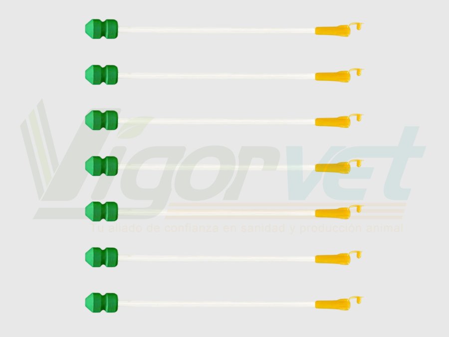 Foam AI catheter for sows