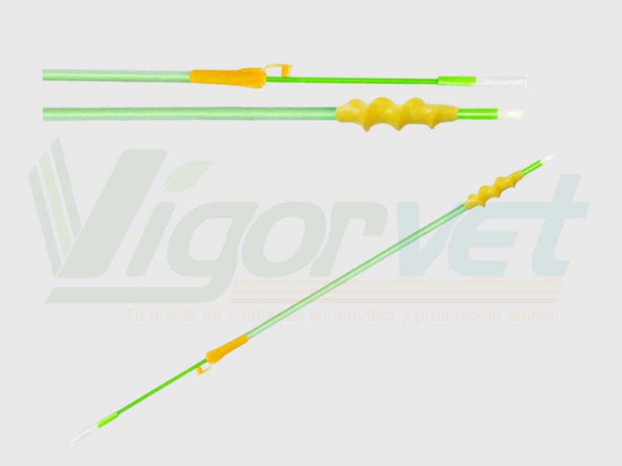 Spiral AI catheter for pigs