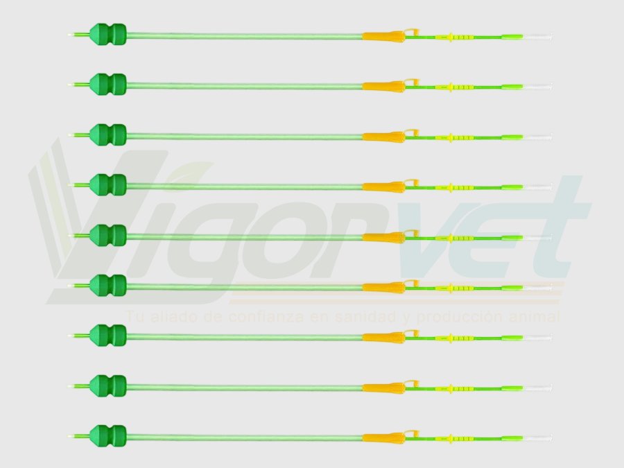 Intrauterine AI catheter for sows