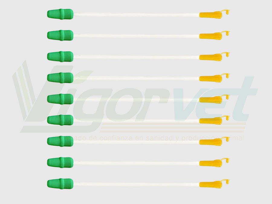 Disposable Swine AI Catheter – Sterile and Safe for gilt