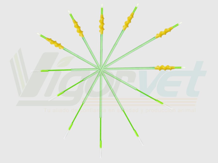 Spiral AI catheter for pigs