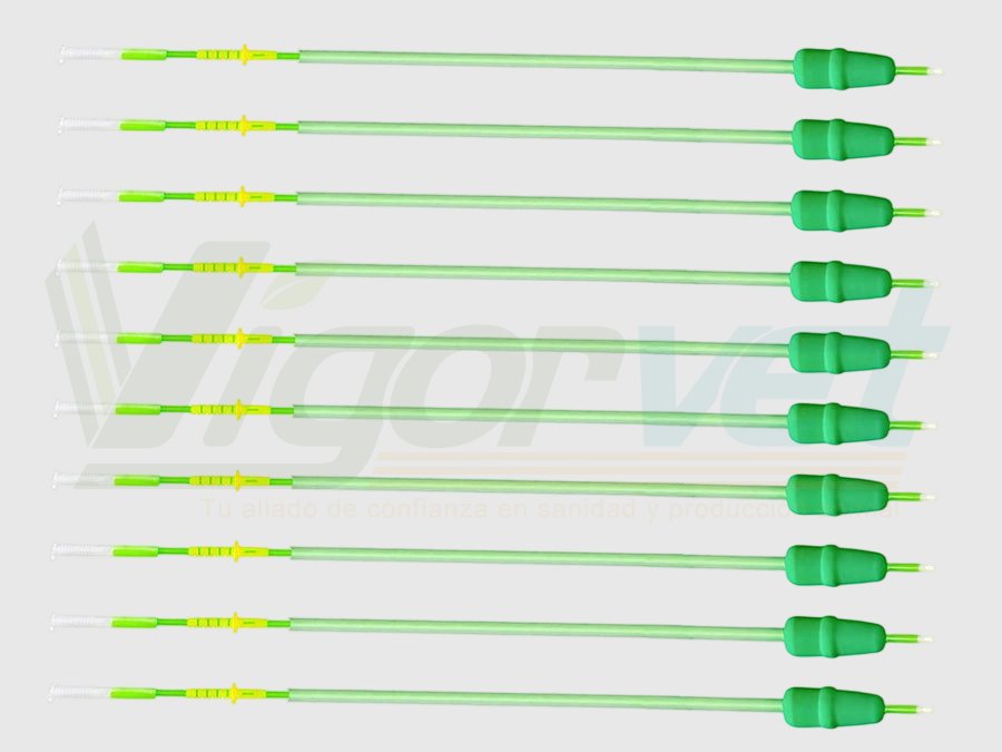 Intrauterine catheter for gilt insemination