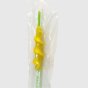 EO sterilized swine catheter