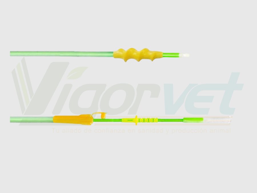 Spiral AI catheter for swine
