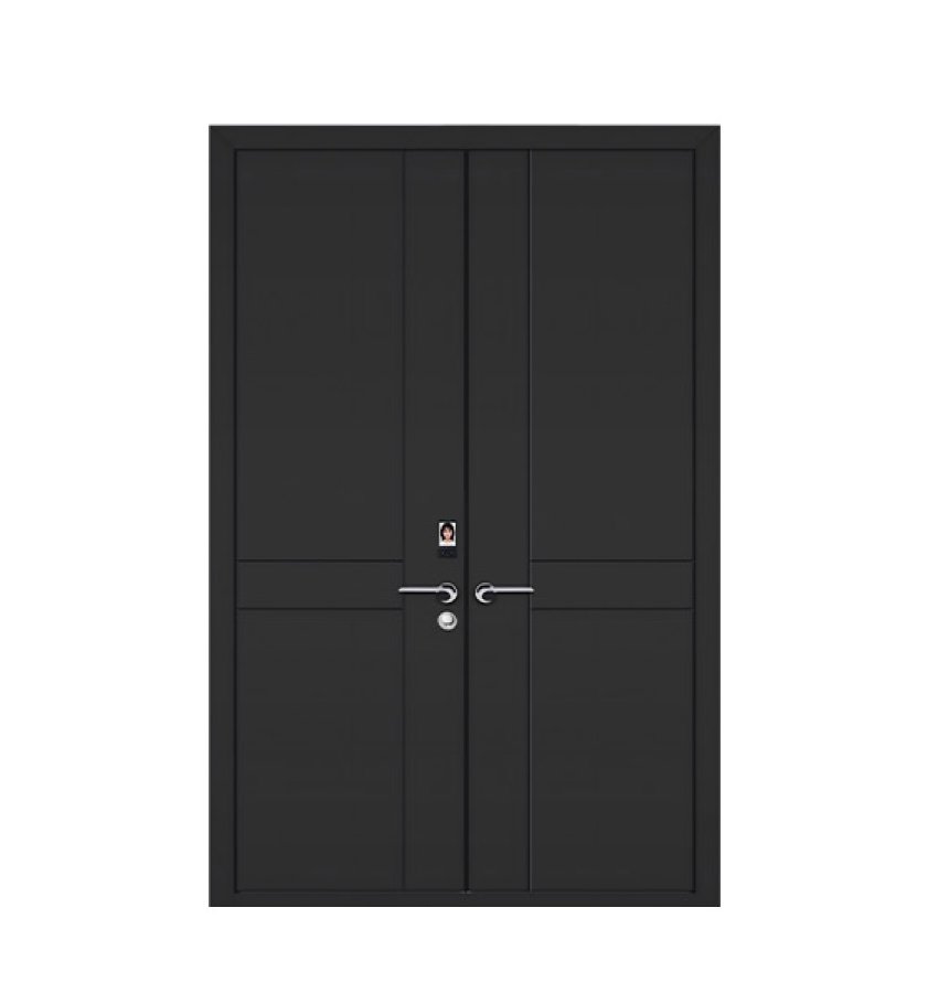 Newest armored door style for villas