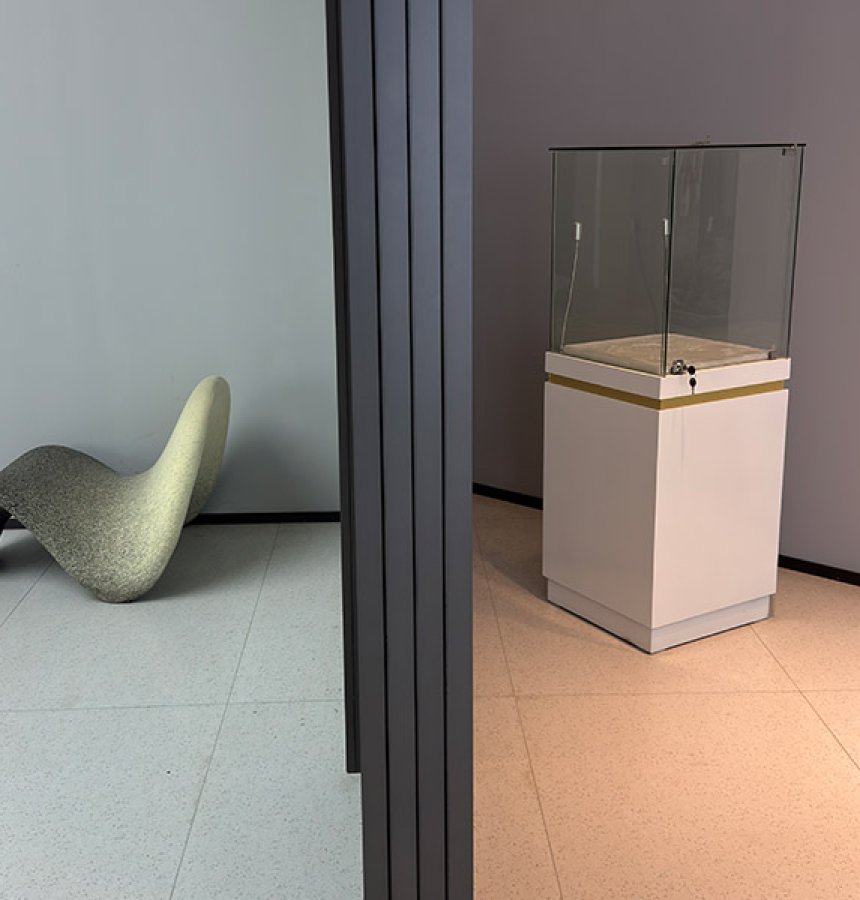 Minimalist glass partition door