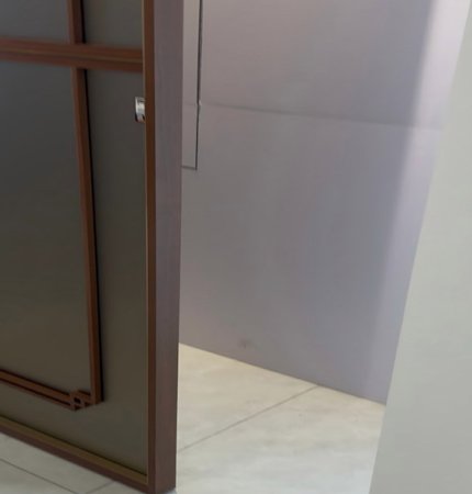 Multi track room divider door