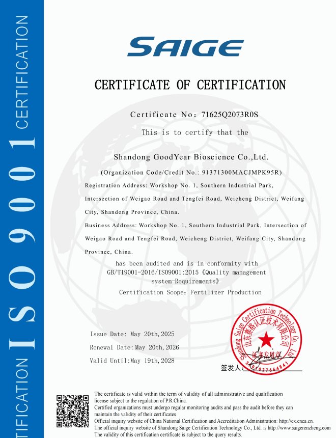 ISO 9001