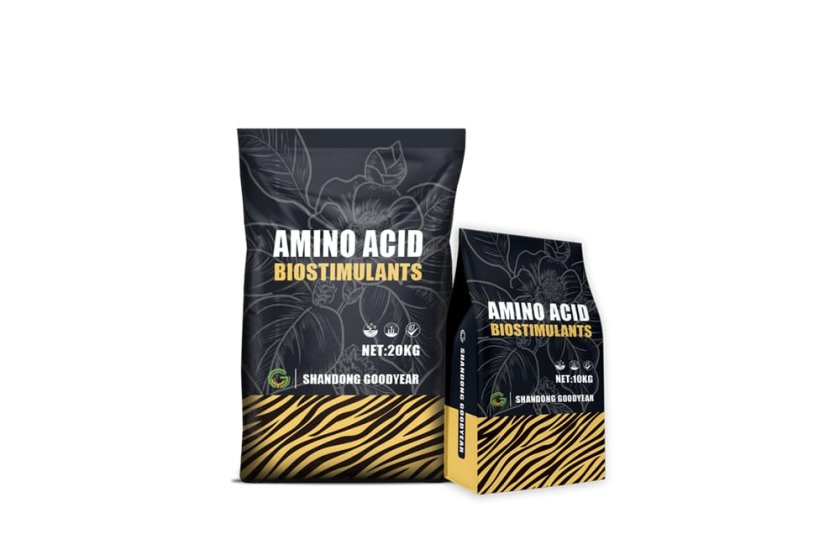 AmiTime® 800