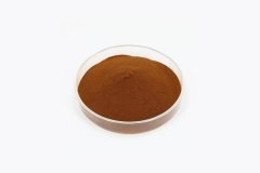 Fulvic Acid 1