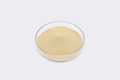Amino Acid 1