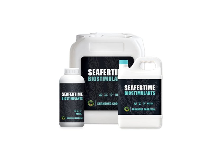 SeaferTime® Star L35