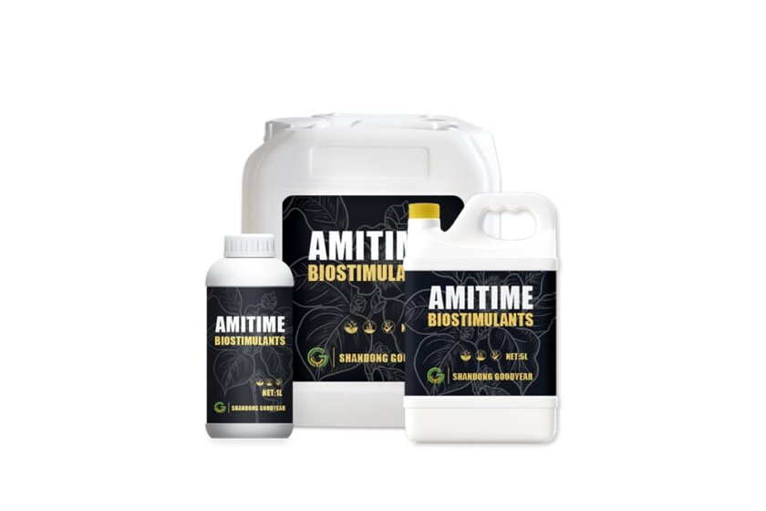 AmiTime® L30