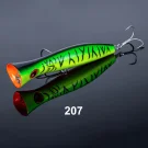 NSB207