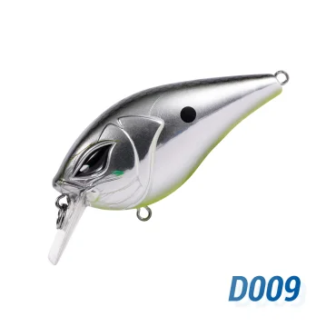 D009