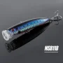 NSB118