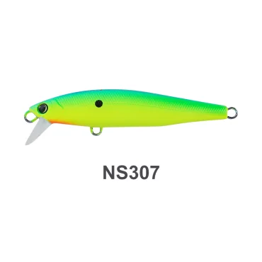 NS307