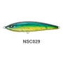 NSC029