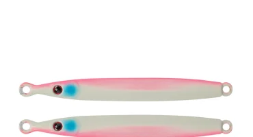 008