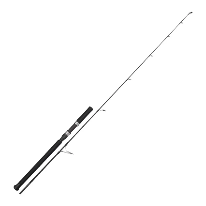 voyager jigging 01