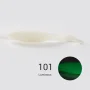 101