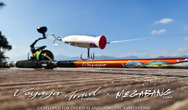 Voyager travel popping