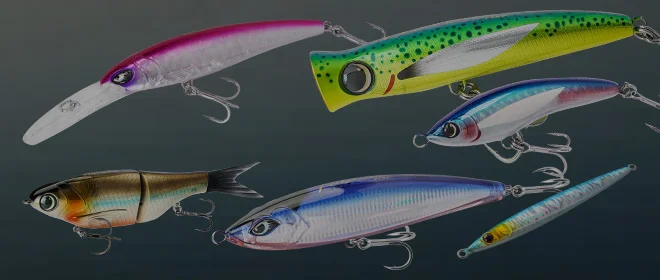 lure
