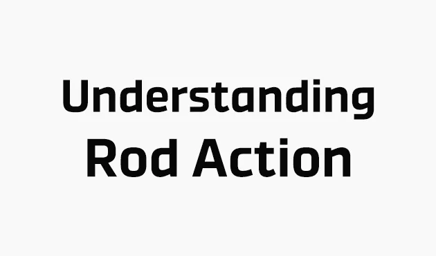 Understanding-Rod-Action