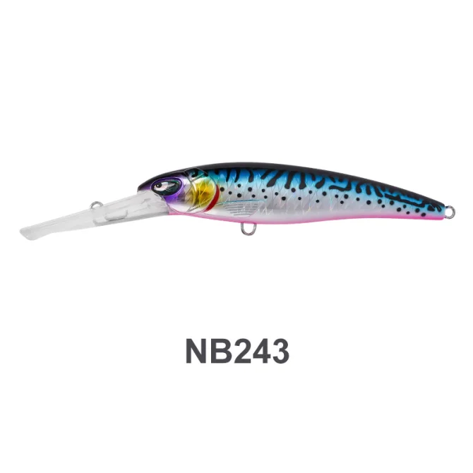 NB243