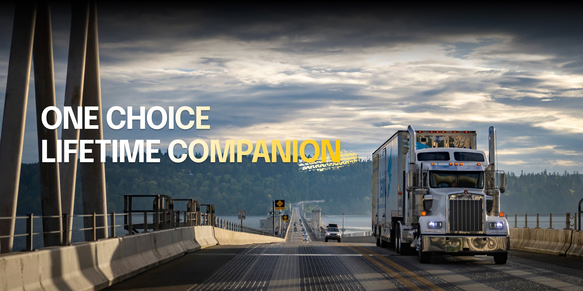 home-banner