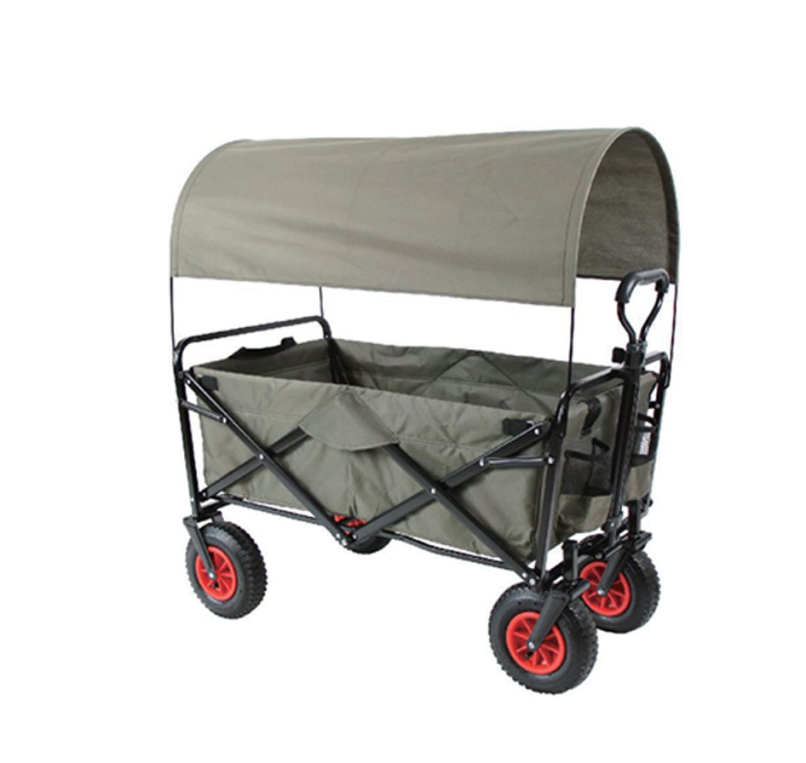 Collapsible Wagon With Canopy