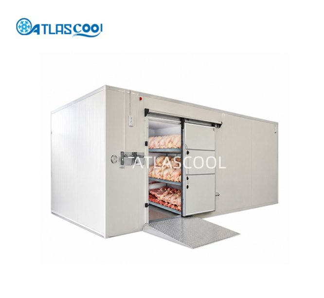 Blast freezer chicken cold room