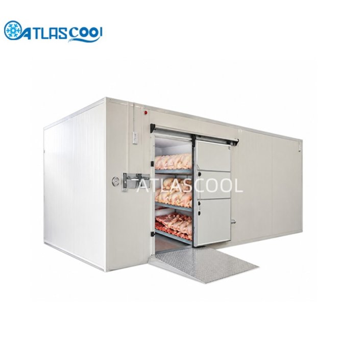 Blast freezer chicken cold room