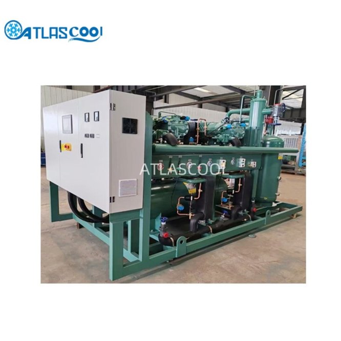 Parallel Rack Refrigeration System for Large Cold Room
