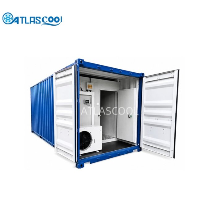 20ft portable container cold room