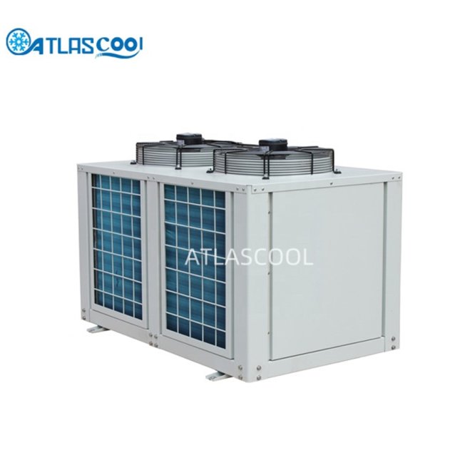 Air-Cooled Walk-In Freezer Condensing Unit