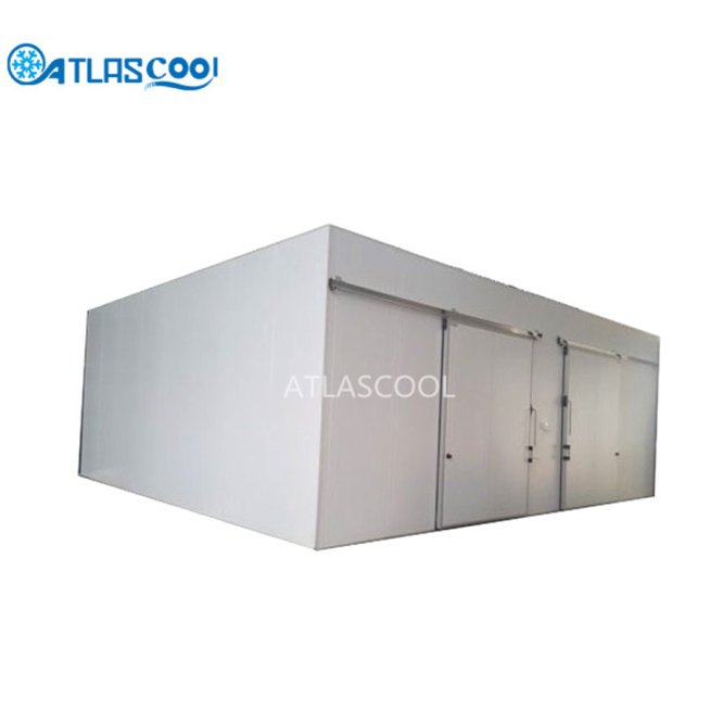 Big industrial freezer room
