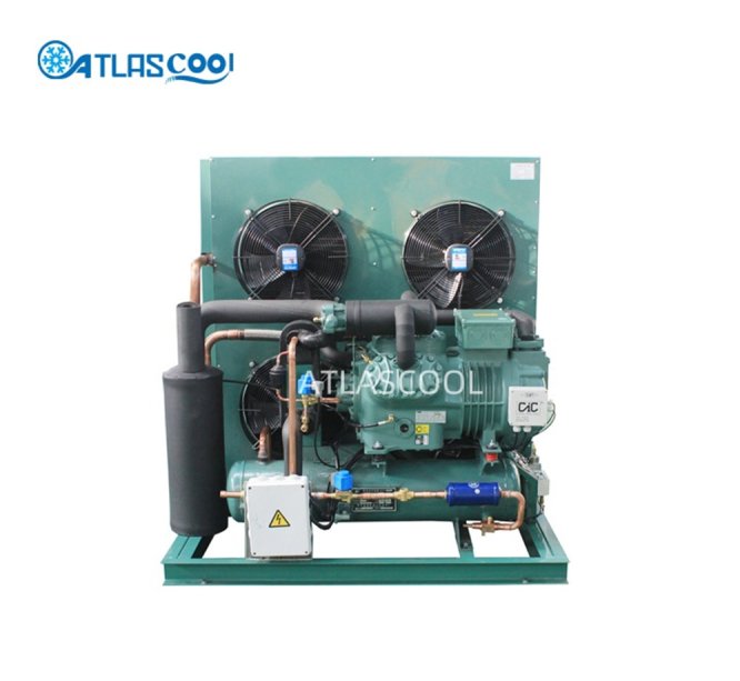 Bitzer Two-Stage Compressor Condensing Unit for Cold Storage