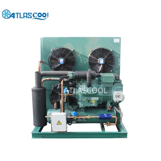 Bitzer Two-Stage Compressor Condensing Unit for Cold Storage