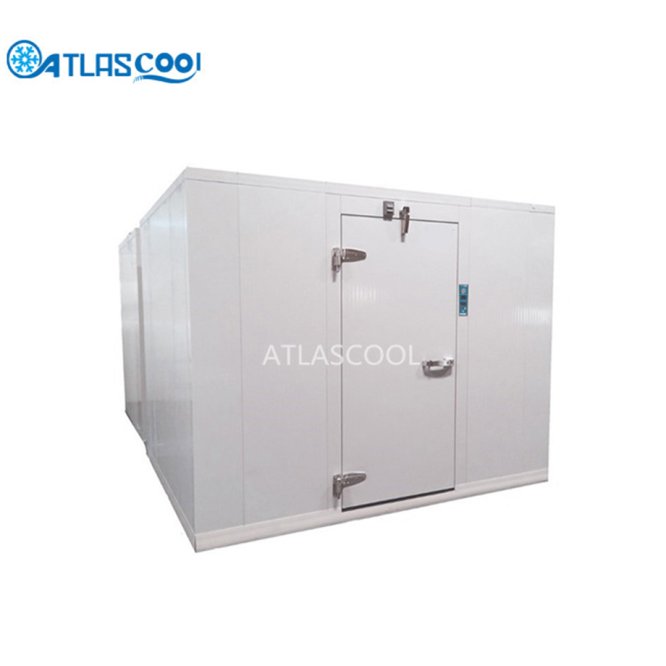 Walk in cold storage room