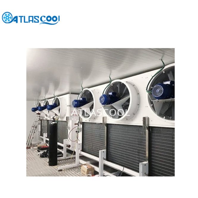 Industrial blast freezer cold room