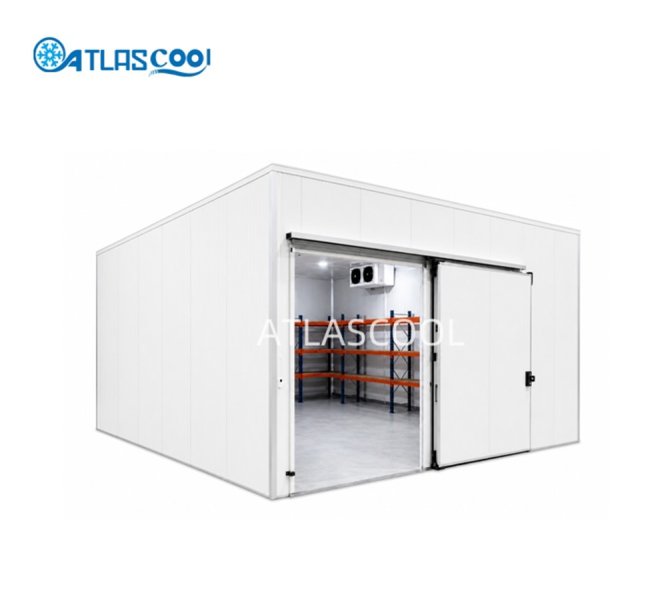 Large industrial cold room