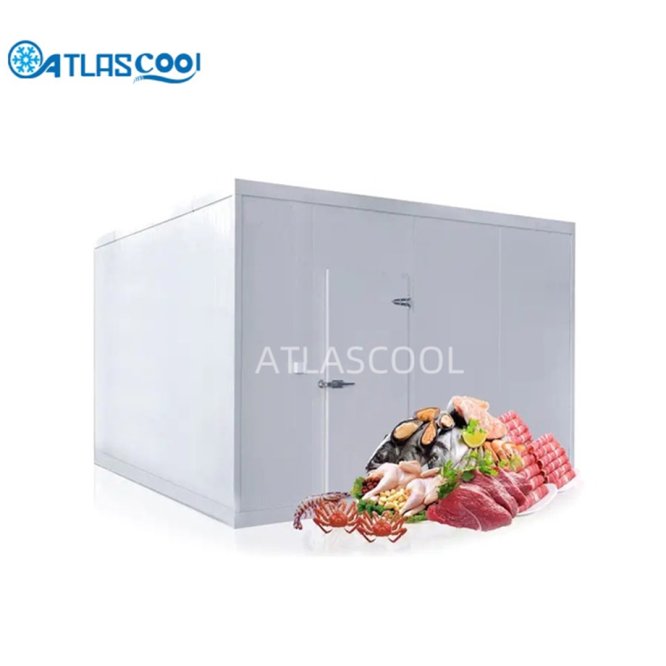 Frozen cold room for meat and fish