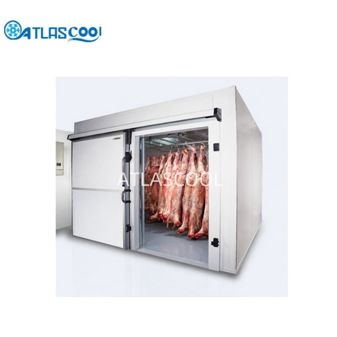 Walk in meat freezer room
