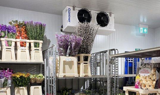 Flower Storage Cold Room
