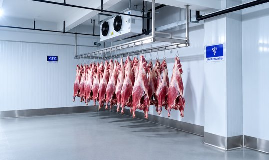 Seafood & Meat Cold Storage Room