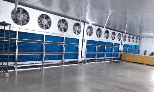 Blast Freezer Room