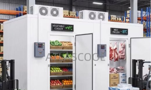 Different Types of Cold Rooms | Uses, Benefits & Selection Guide